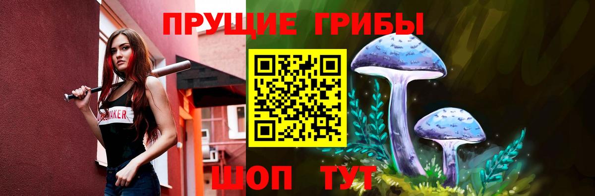 Псилоцибиновые грибы MAGIC MUSHROOMS  Галлюциногенные грибы прущие грибы  Ногинск  Вход с VPN 